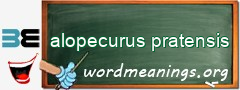 WordMeaning blackboard for alopecurus pratensis